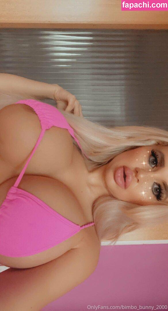 bimbo_bunny_2000 leaked nude photo #0018 from OnlyFans/Patreon