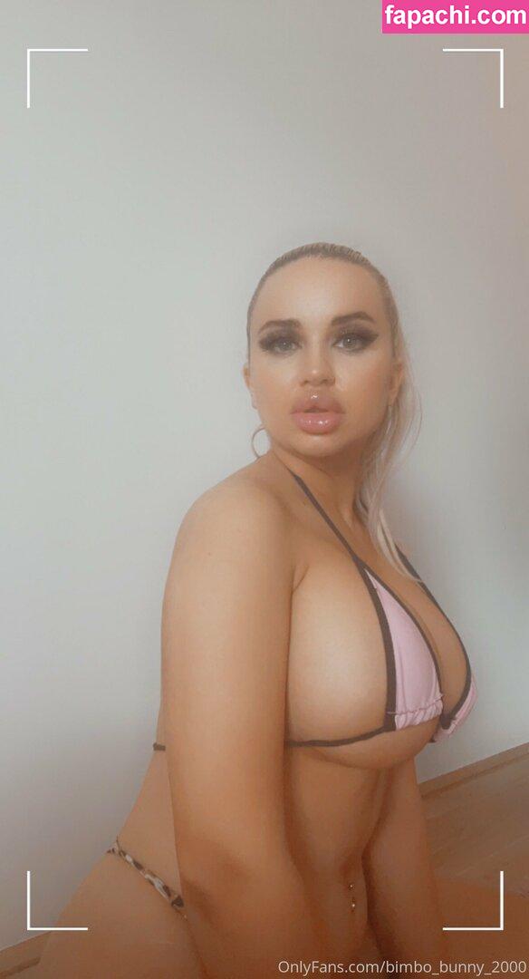 bimbo_bunny_2000 leaked nude photo #0029 from OnlyFans/Patreon