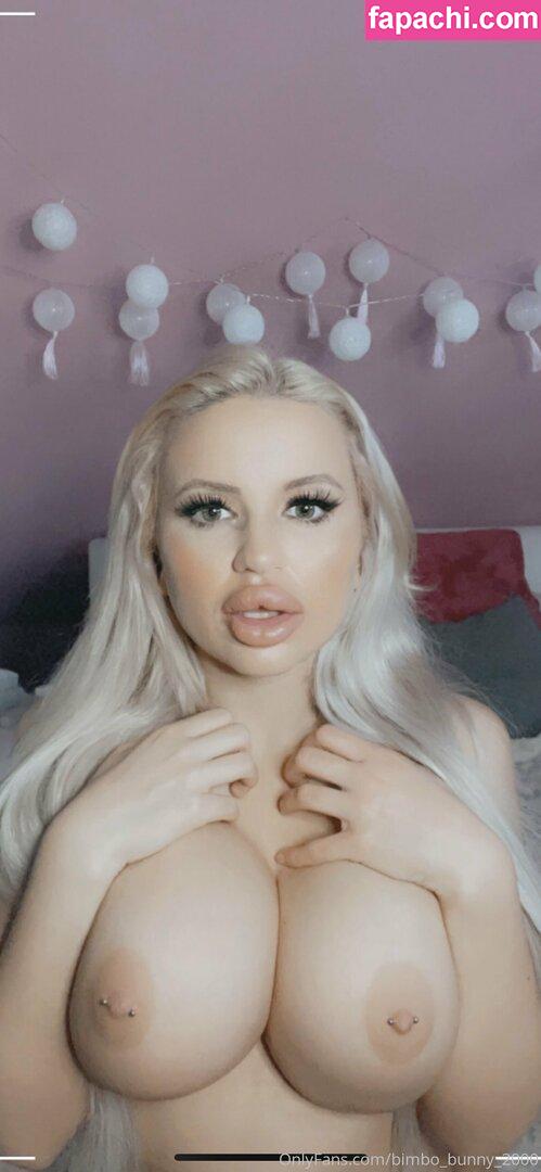 bimbo_bunny_2000 leaked nude photo #0043 from OnlyFans/Patreon