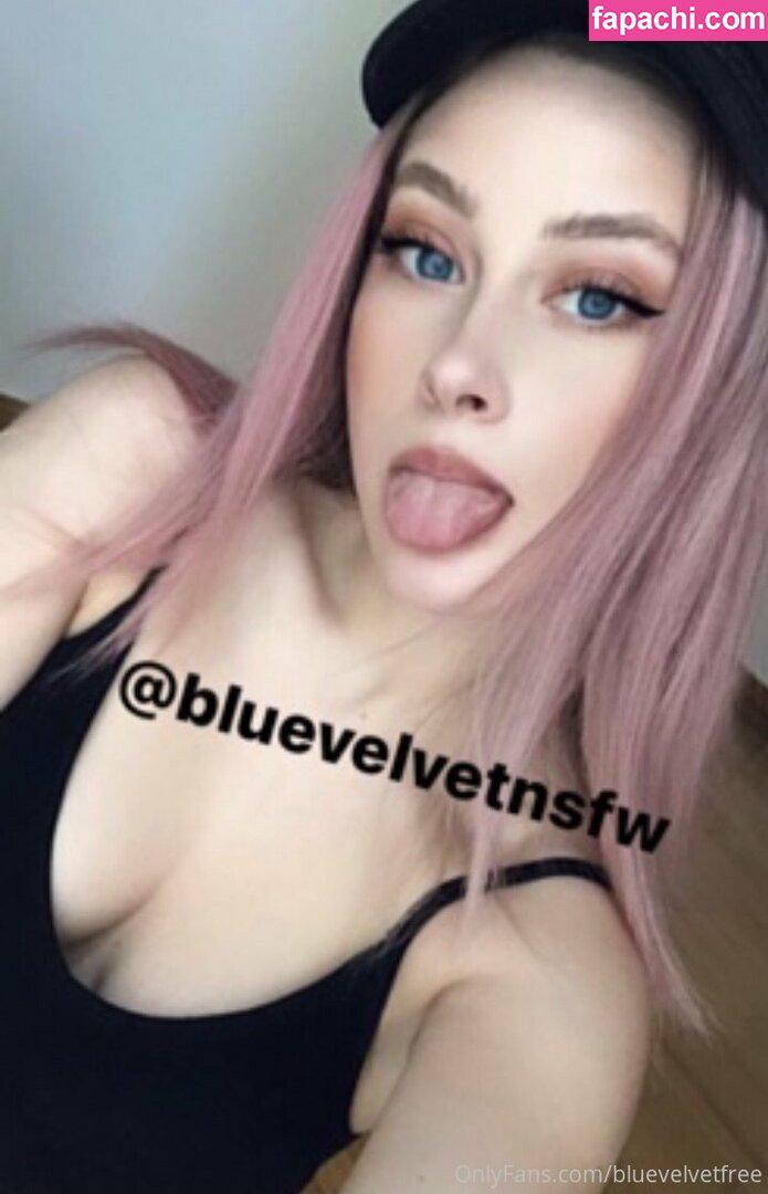 bluevelvetfreenudes / freerangefemale leaked nude photo #0007 from OnlyFans/Patreon