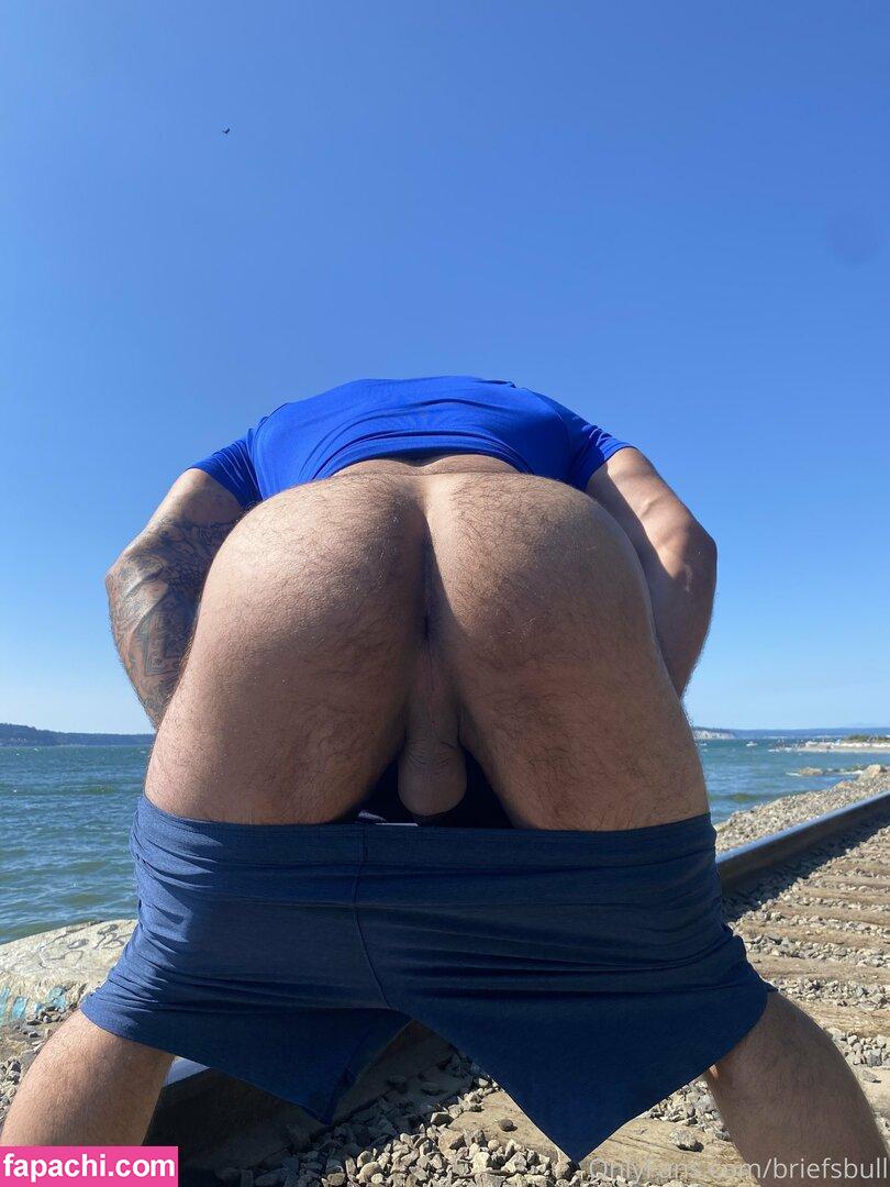 briefsbull / beefybunzz leaked nude photo #0095 from OnlyFans/Patreon