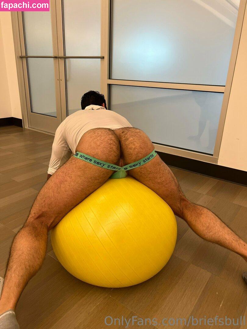 briefsbull / beefybunzz leaked nude photo #0139 from OnlyFans/Patreon