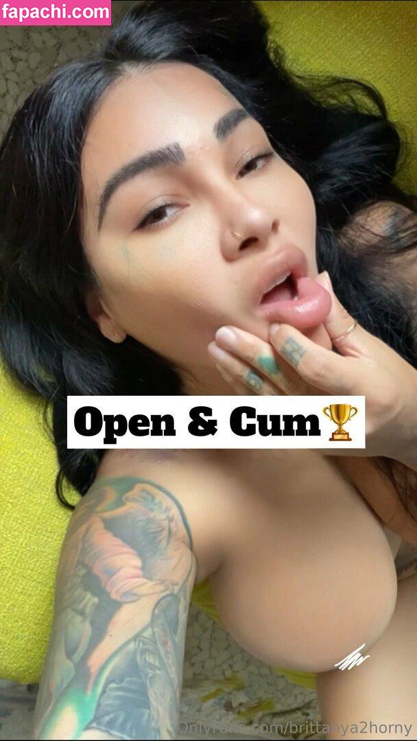 brittanya2horny leaked nude photo #0327 from OnlyFans/Patreon