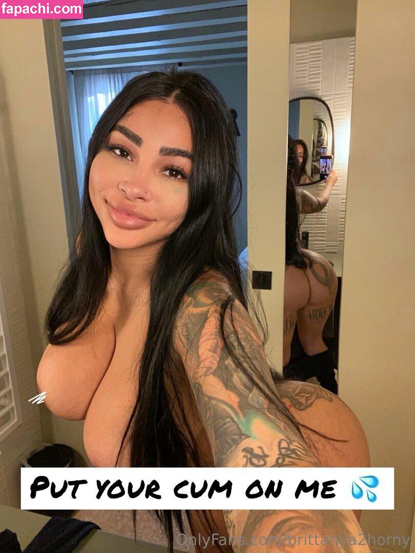 brittanya2horny leaked nude photo #0331 from OnlyFans/Patreon
