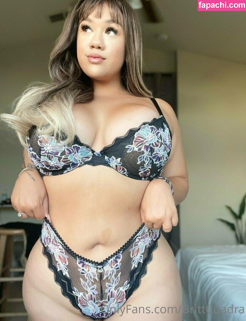 Brittcuadra FBE / brittcuadra leaked nude photo #1110 from OnlyFans/Patreon