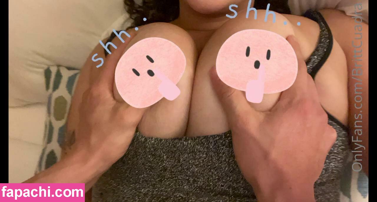 brittcuadra / itsbrittnicole leaked nude photo #0166 from OnlyFans/Patreon