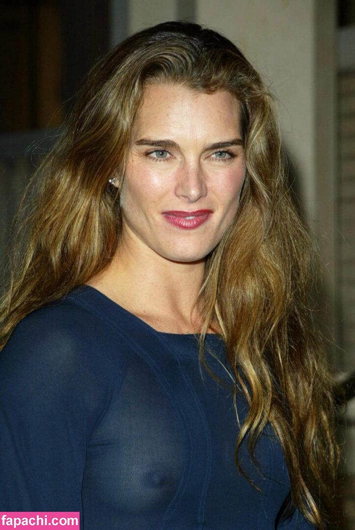 Brooke Shields / brookeshields leaked nude photo #0019 from OnlyFans/Patreon