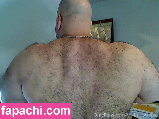 bullmusclejoe leaked nude photo #0073 from OnlyFans/Patreon