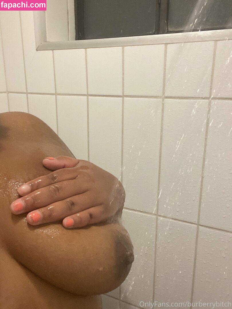 burberrybitch leaked nude photo #0071 from OnlyFans/Patreon