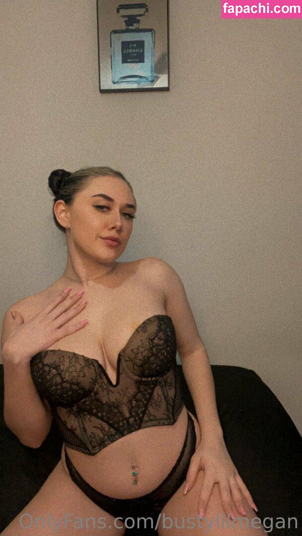 bustylilmegan / pamela_sowers leaked nude photo #0409 from OnlyFans/Patreon