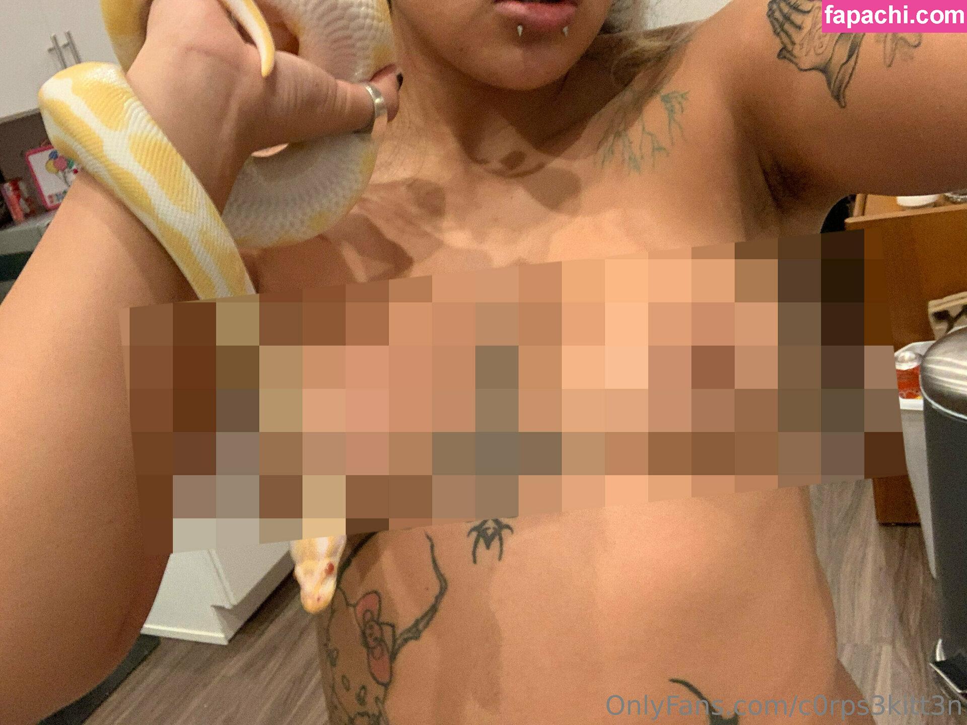 c0rps3kitt3n leaked nude photo #0085 from OnlyFans/Patreon