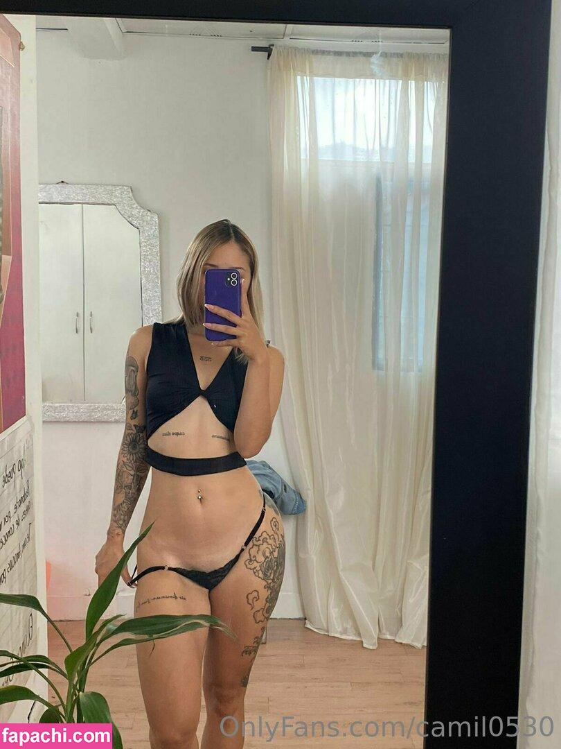 camil0530 / camil.o0530 leaked nude photo #0077 from OnlyFans/Patreon