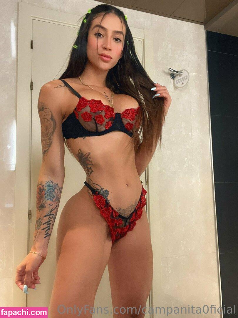 campanita0ficial / fb_0296 leaked nude photo #0008 from OnlyFans/Patreon