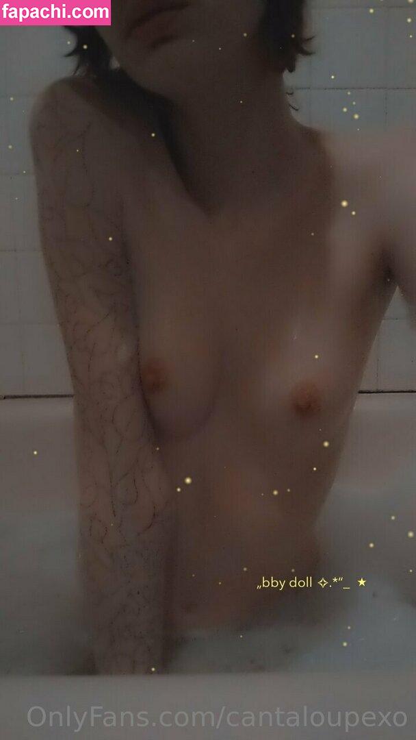 cantaloupexo / cantaloupe.inc leaked nude photo #0206 from OnlyFans/Patreon