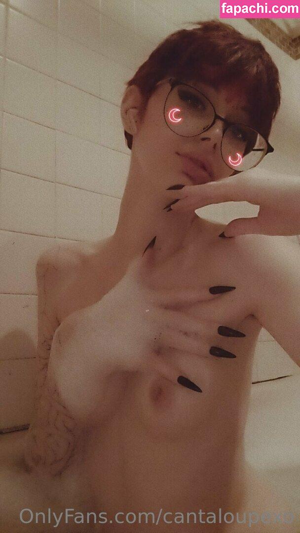 cantaloupexo / cantaloupe.inc leaked nude photo #0210 from OnlyFans/Patreon