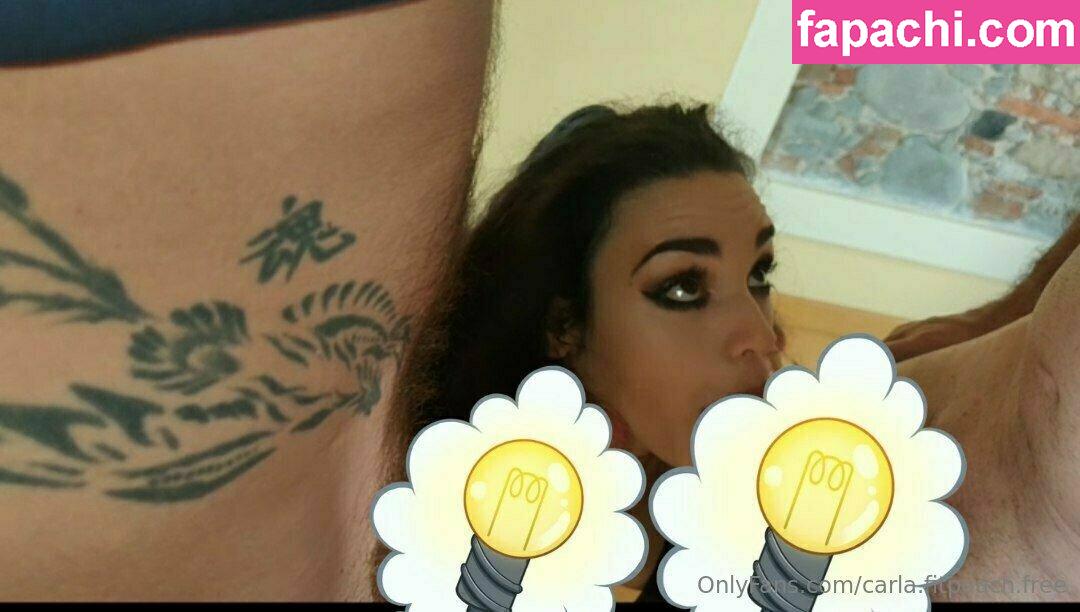 carla.fitpeach.free / halfofcarla leaked nude photo #0056 from OnlyFans/Patreon