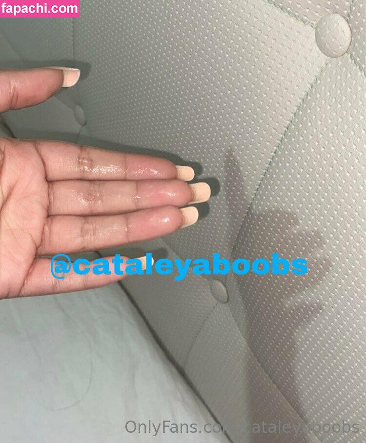 cataleyaboobs leaked nude photo #0002 from OnlyFans/Patreon