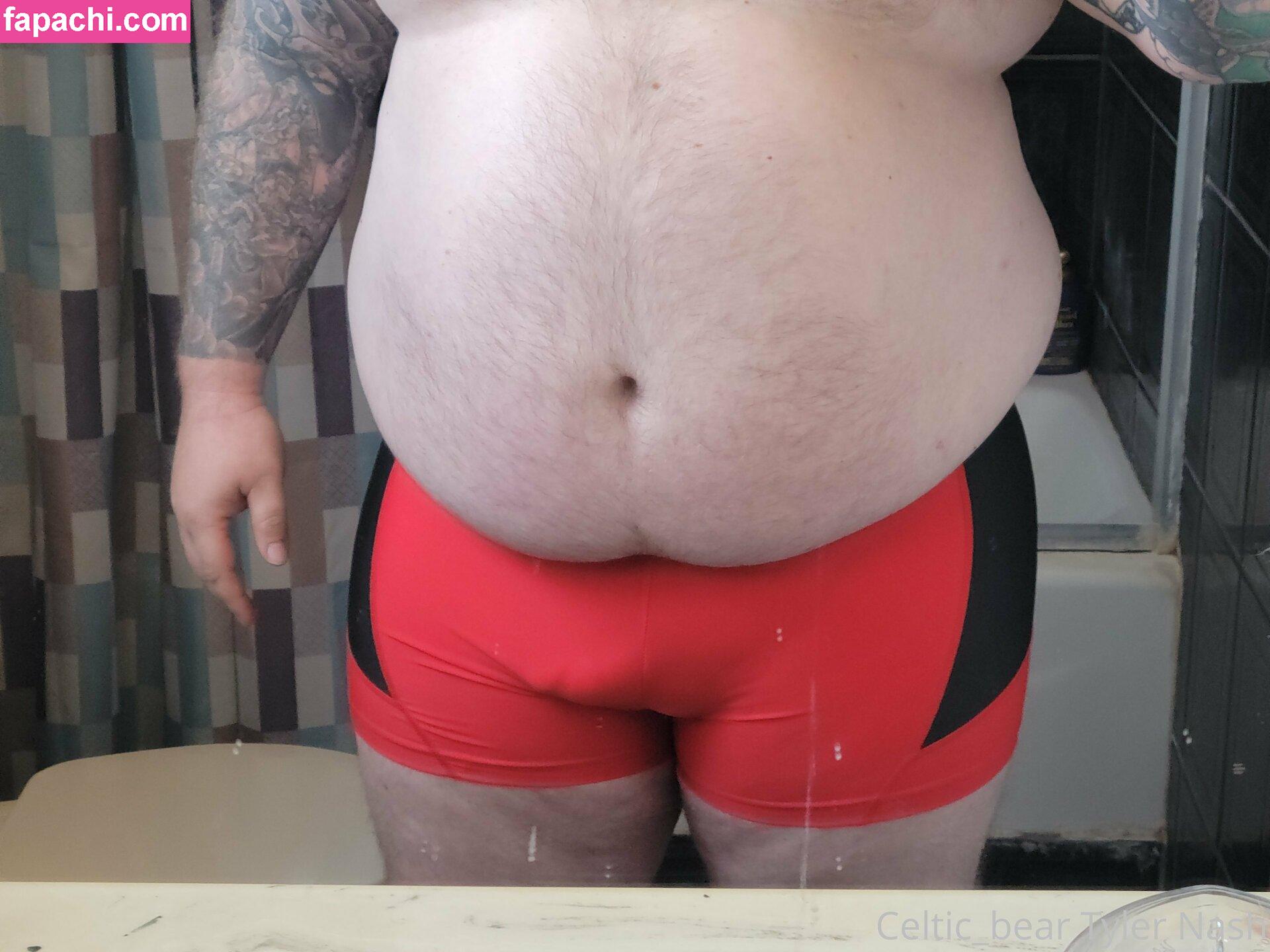 celtic_bear leaked nude photo #0053 from OnlyFans/Patreon