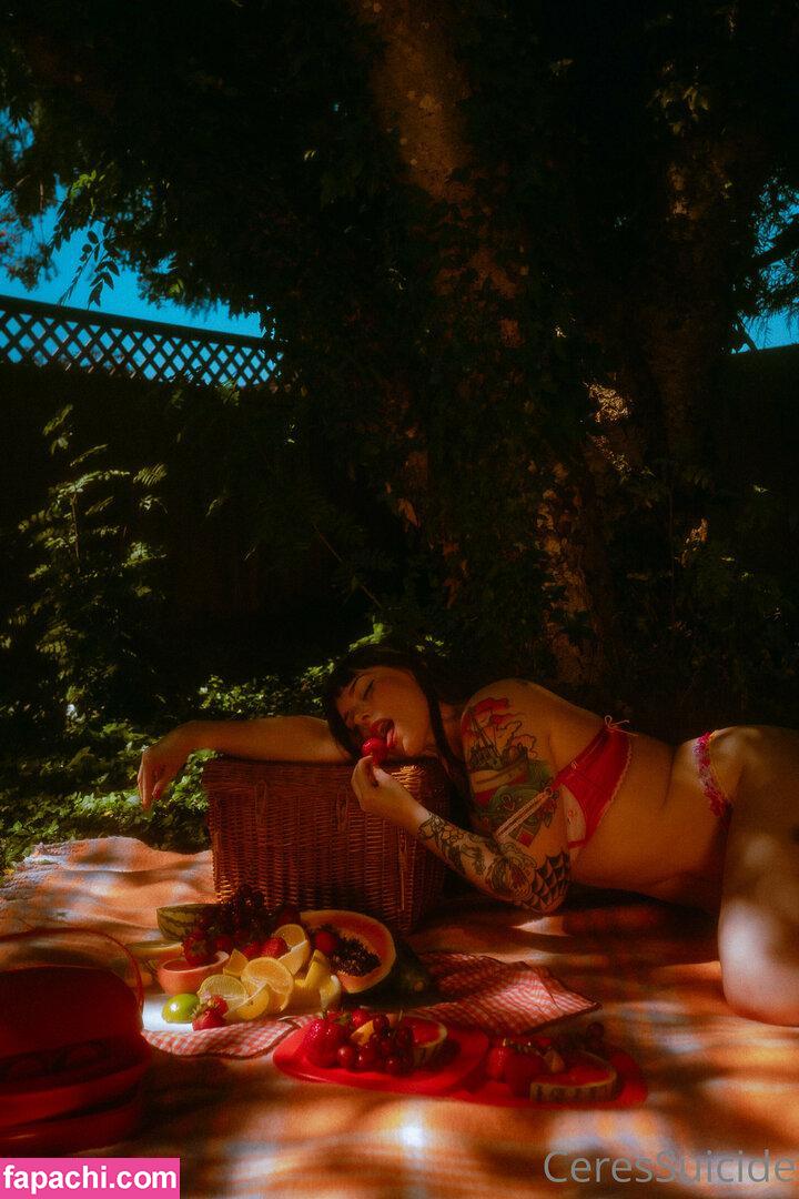 Ceressuicide / Ceres / ceres__suicide leaked nude photo #0772 from OnlyFans/Patreon