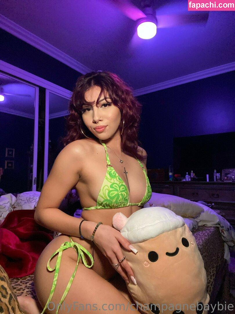champagnebaybie / Digital Girl leaked nude photo #0040 from OnlyFans/Patreon
