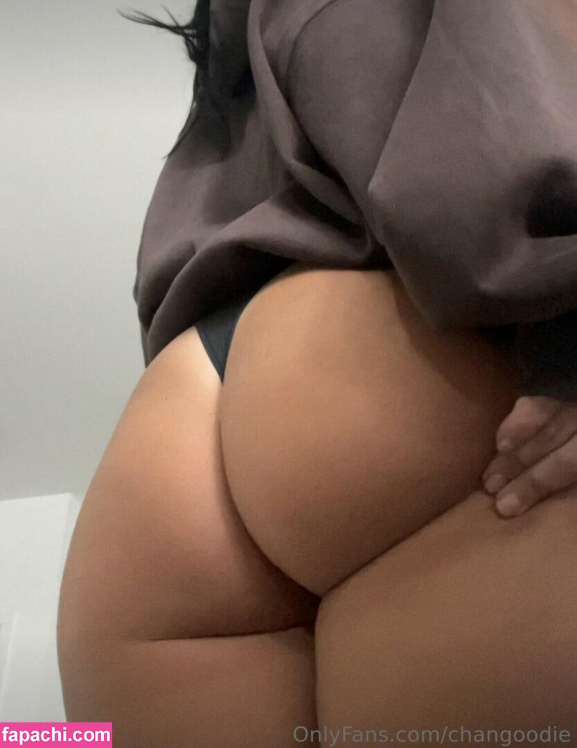 changoodie leaked nude photo #0192 from OnlyFans/Patreon