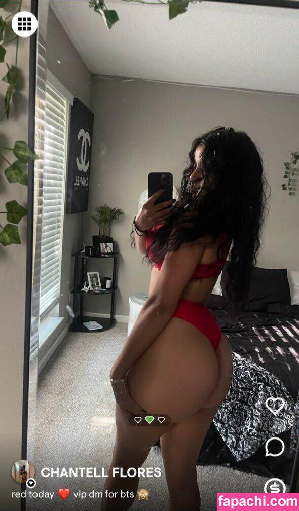 Chantell Flores / chantelle_flores_ leaked nude photo #0012 from OnlyFans/Patreon