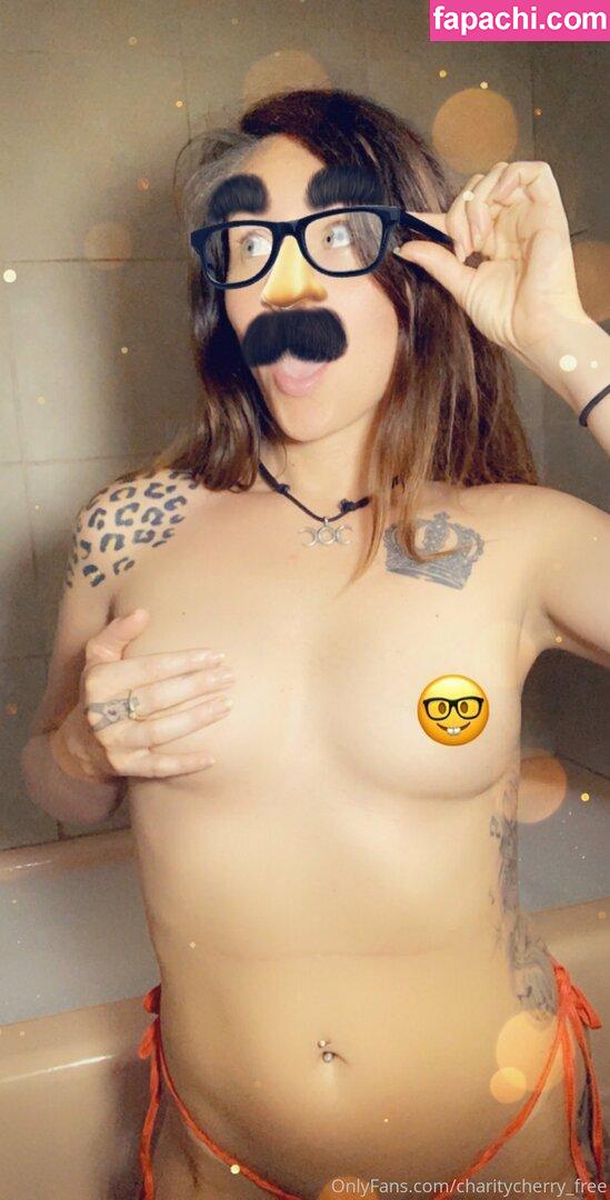 charitycherry_free / chaseelynnx leaked nude photo #0058 from OnlyFans/Patreon