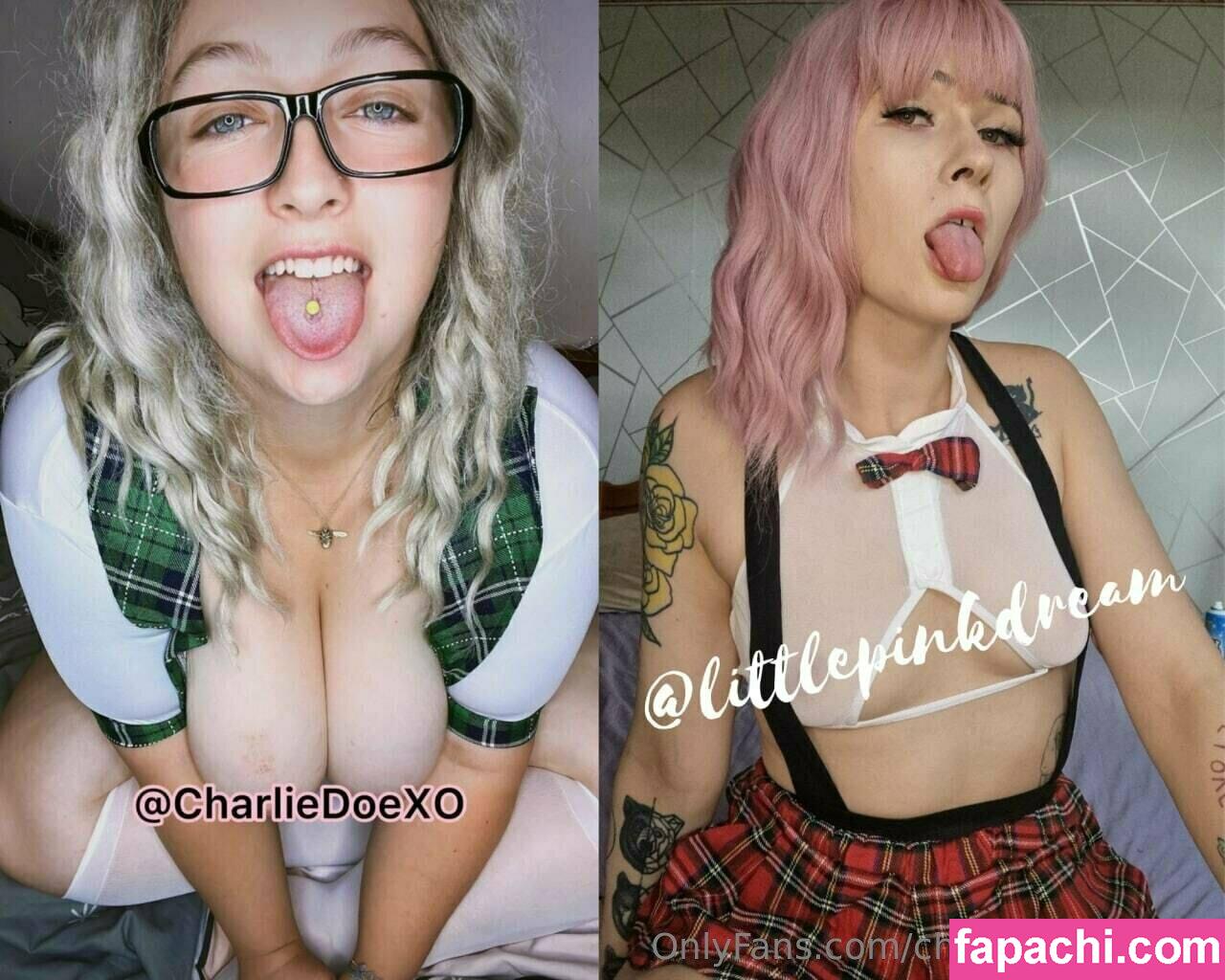 charliedoexofree / charliedoodlefro leaked nude photo #0225 from OnlyFans/Patreon