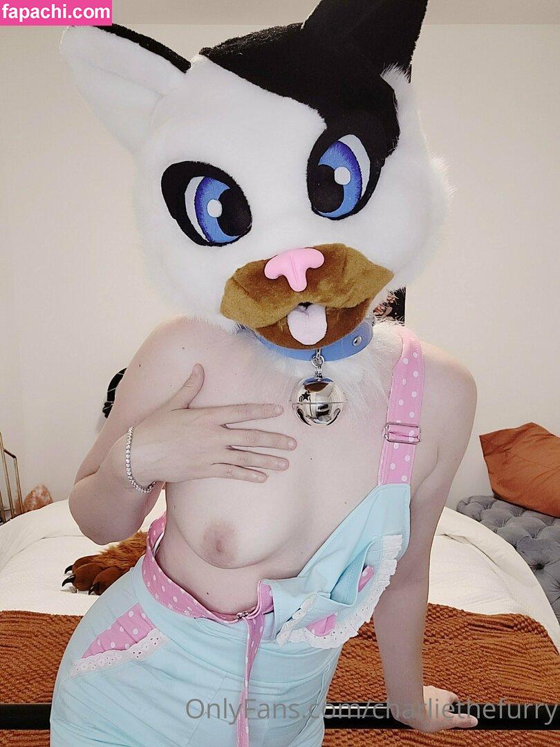 charliethefurry / charliethefurryvoid leaked nude photo #0040 from OnlyFans/Patreon