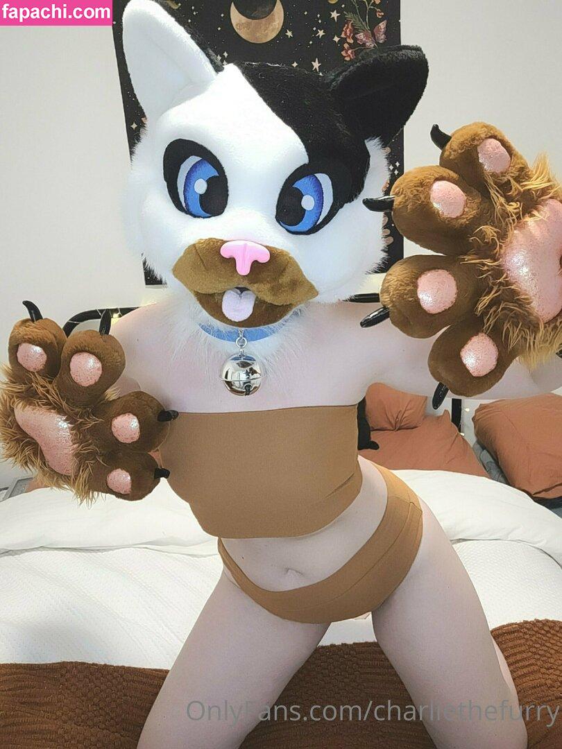 charliethefurry / charliethefurryvoid leaked nude photo #0041 from OnlyFans/Patreon