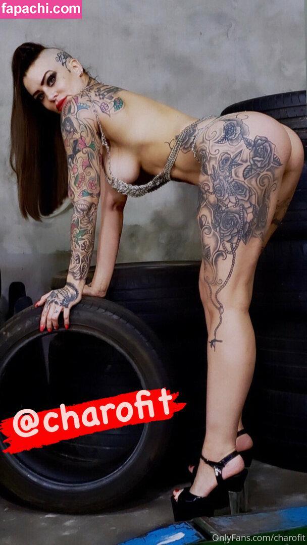 Charofit / _charofit_ leaked nude photo #0014 from OnlyFans/Patreon
