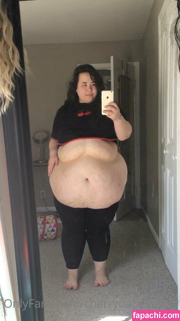 cherrybabyssbbw leaked nude photo #0024 from OnlyFans/Patreon