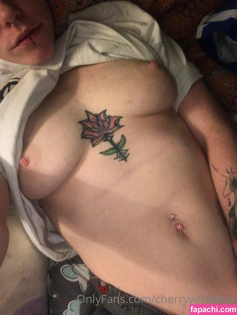 cherrywhiskeyx leaked nude photo #0088 from OnlyFans/Patreon