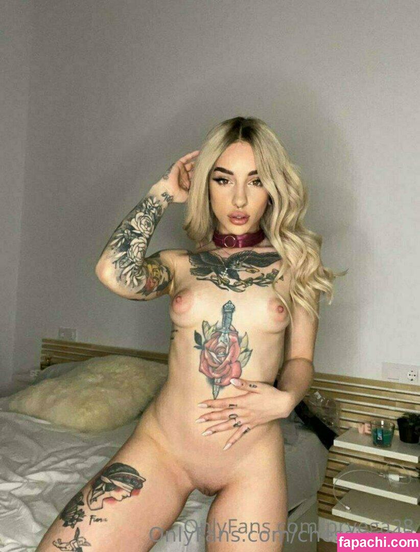 chessiecole / chessiekettle leaked nude photo #0298 from OnlyFans/Patreon