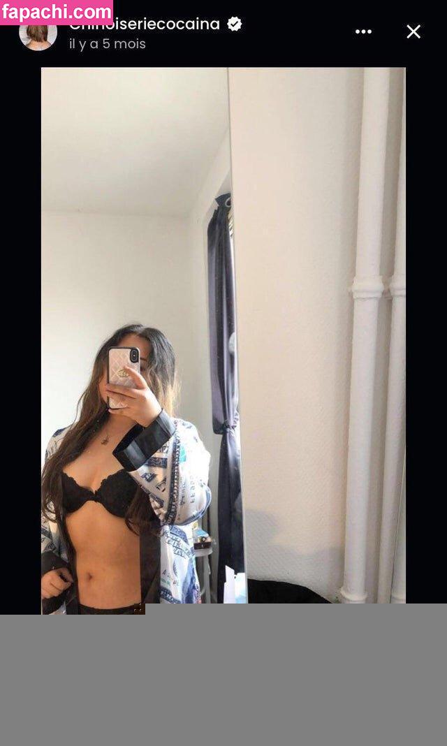 Chinoiseriecocaina / chinoiserie_cocaiina leaked nude photo #0006 from OnlyFans/Patreon