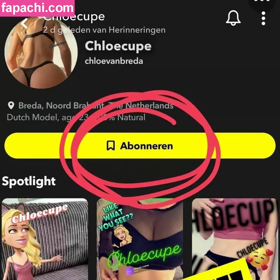 chloecupe / chloecupe_nl leaked nude photo #0013 from OnlyFans/Patreon
