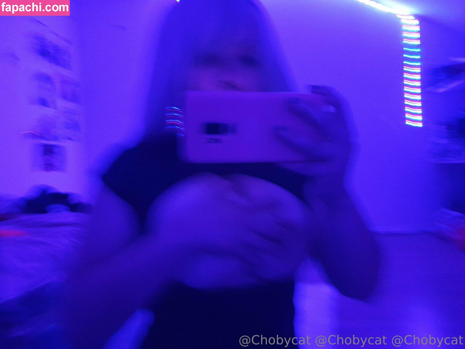 chobycat leaked nude photo #0104 from OnlyFans/Patreon