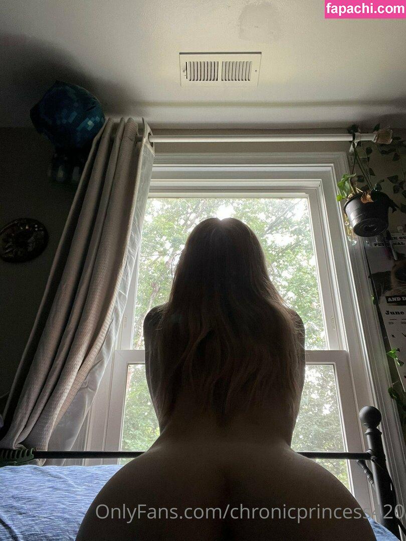 chronicprincess420 leaked nude photo #0029 from OnlyFans/Patreon