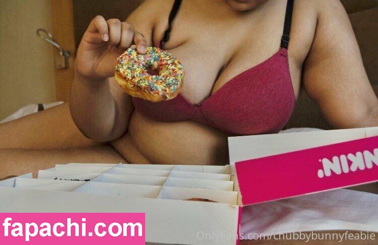 chubbybunnyfeabie leaked nude photo #0002 from OnlyFans/Patreon