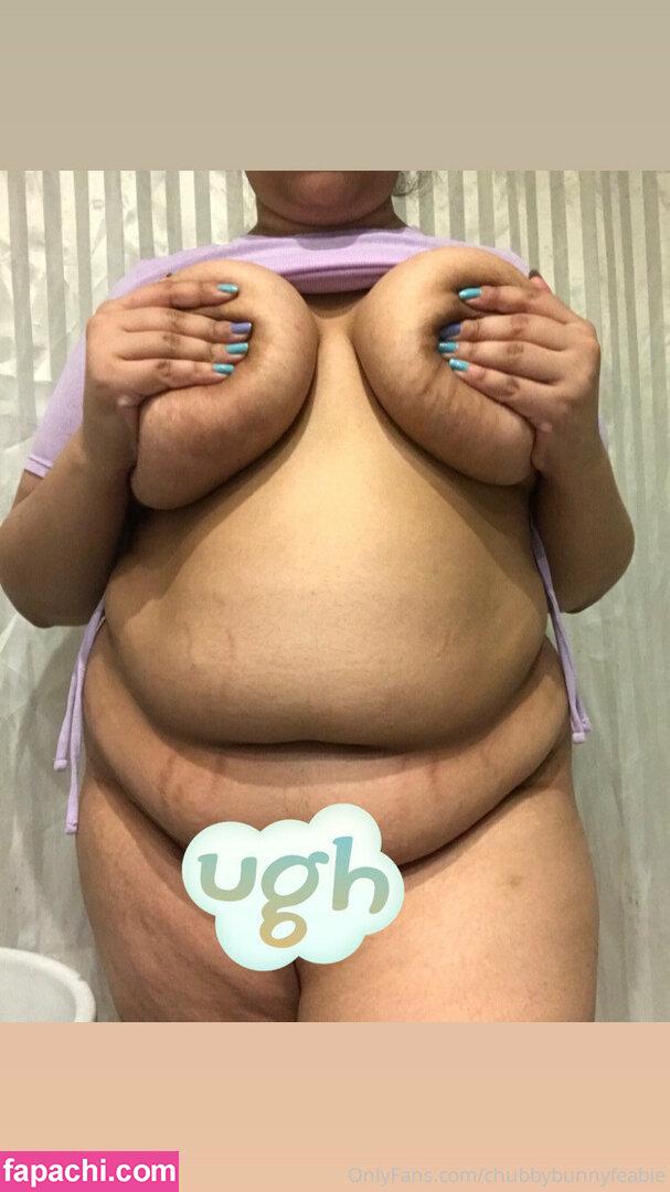 chubbybunnyfeabie leaked nude photo #0011 from OnlyFans/Patreon