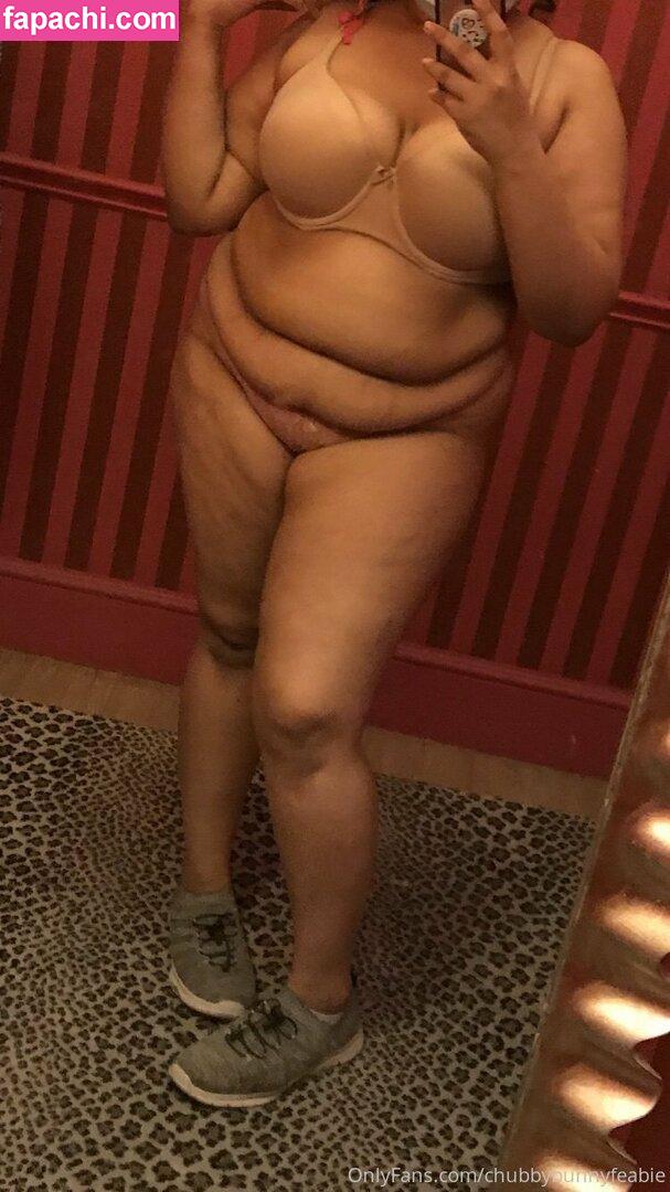 chubbybunnyfeabie leaked nude photo #0013 from OnlyFans/Patreon