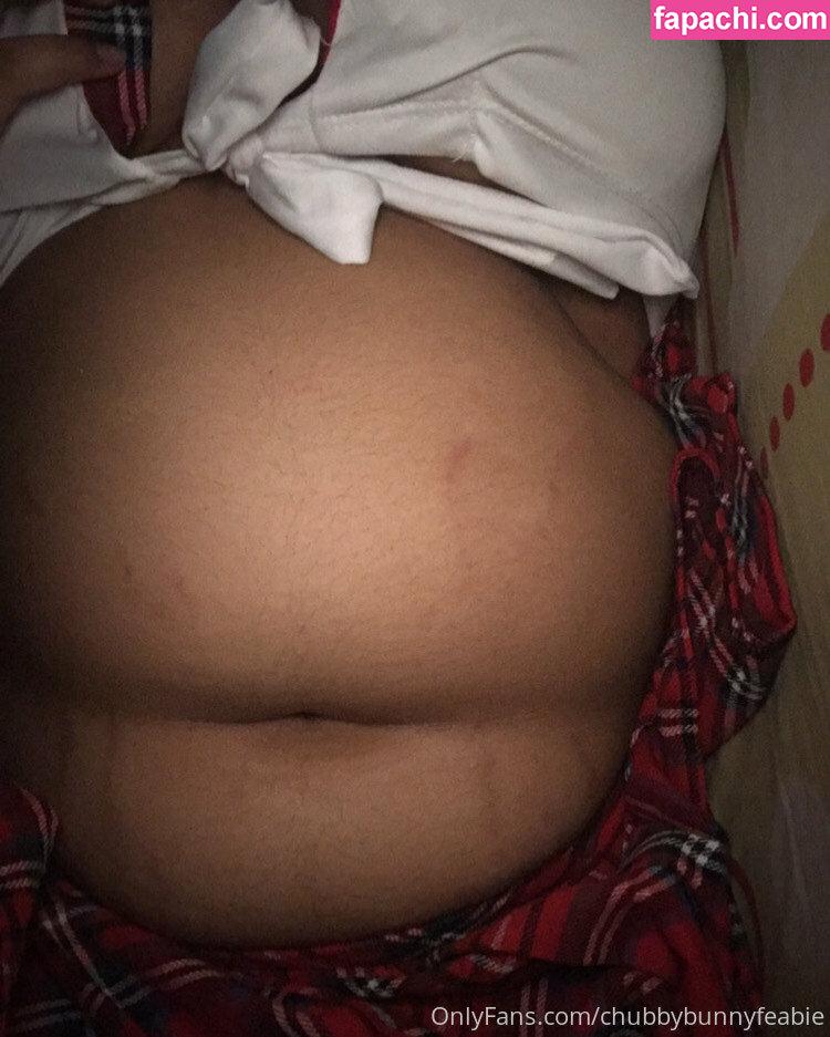 chubbybunnyfeabie leaked nude photo #0020 from OnlyFans/Patreon