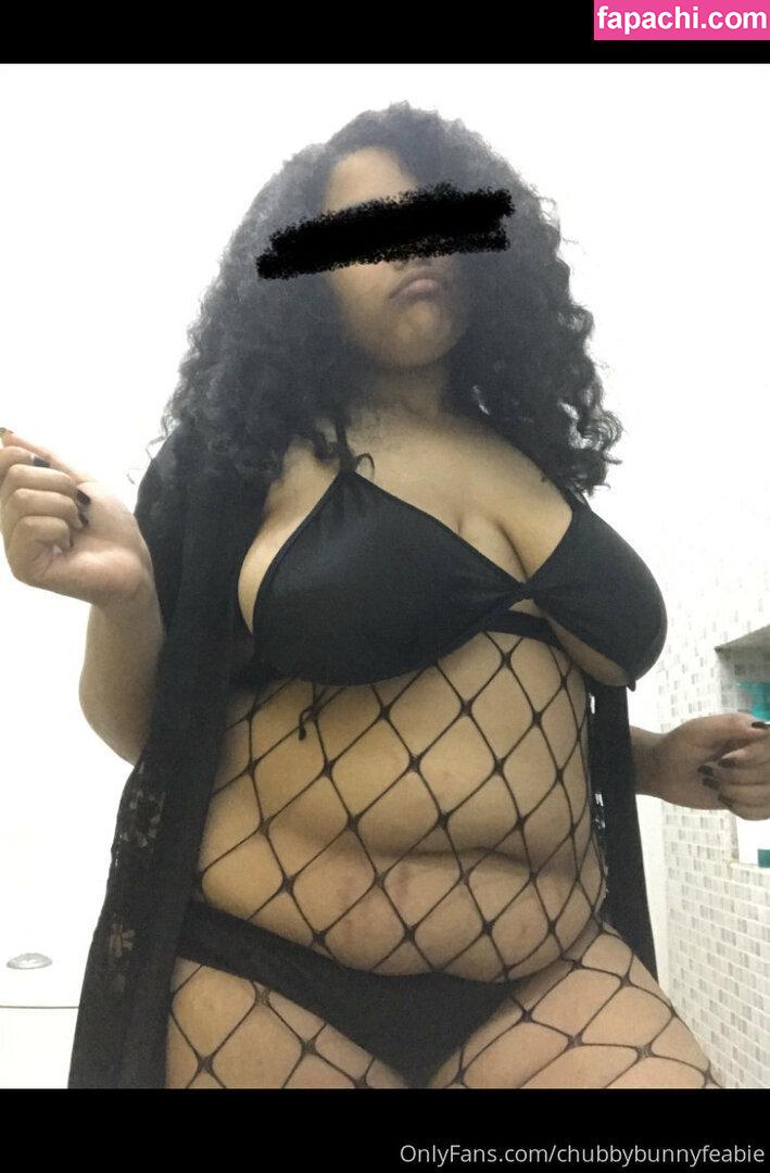 chubbybunnyfeabie leaked nude photo #0023 from OnlyFans/Patreon