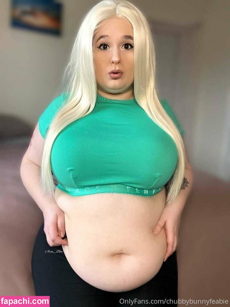 chubbybunnyfeabie leaked nude photo #0030 from OnlyFans/Patreon