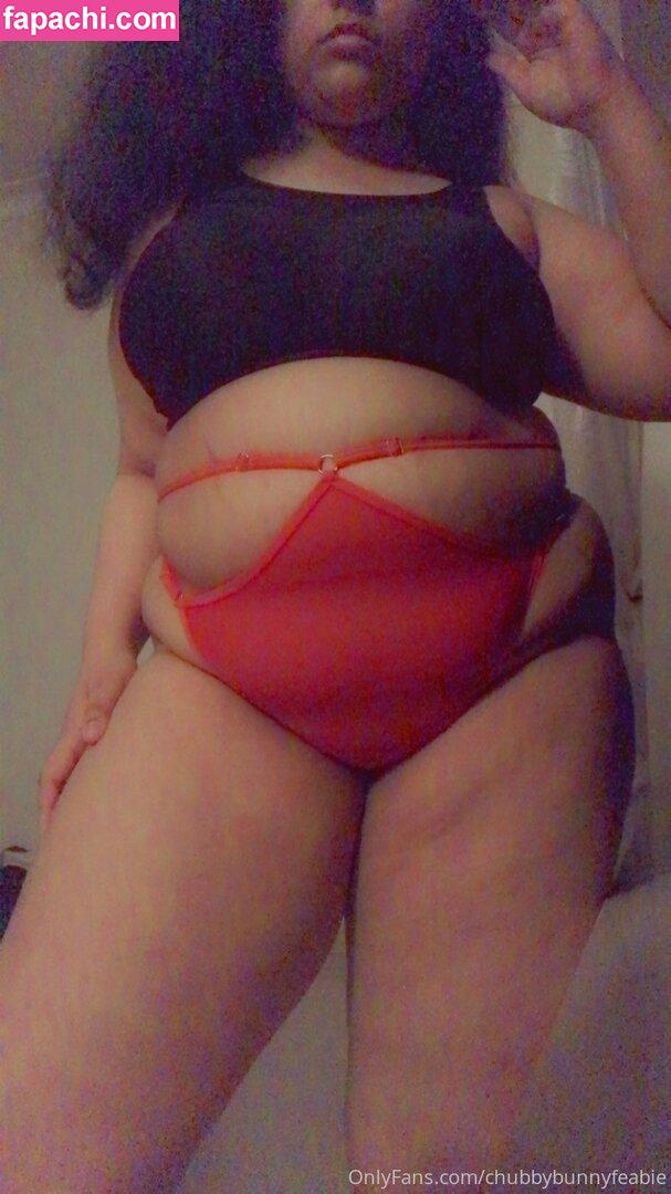 chubbybunnyfeabie leaked nude photo #0049 from OnlyFans/Patreon