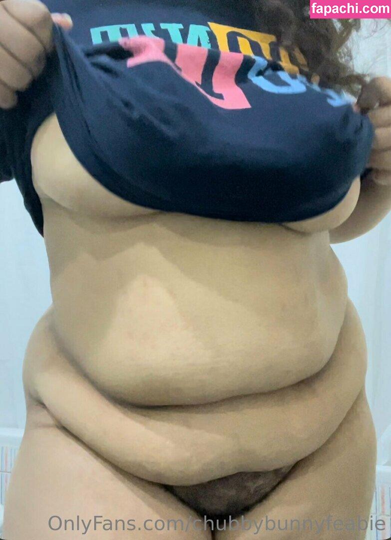 chubbybunnyfeabie leaked nude photo #0078 from OnlyFans/Patreon