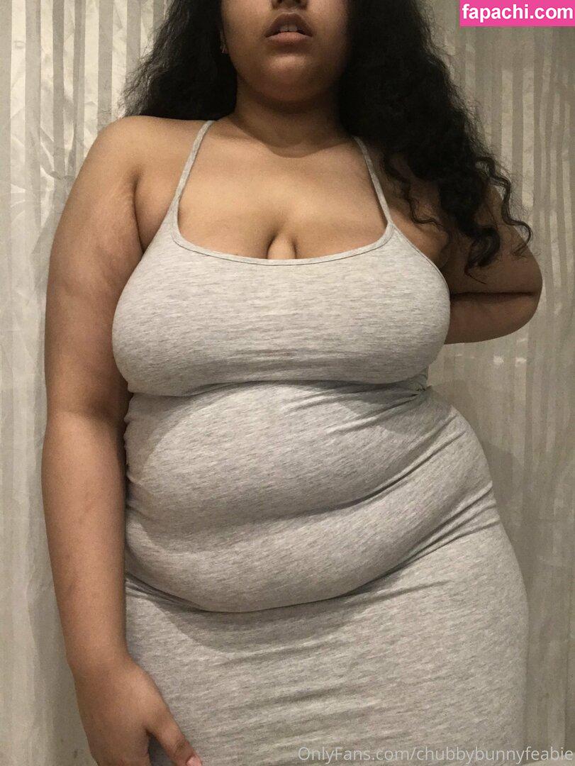 chubbybunnyfeabie leaked nude photo #0097 from OnlyFans/Patreon