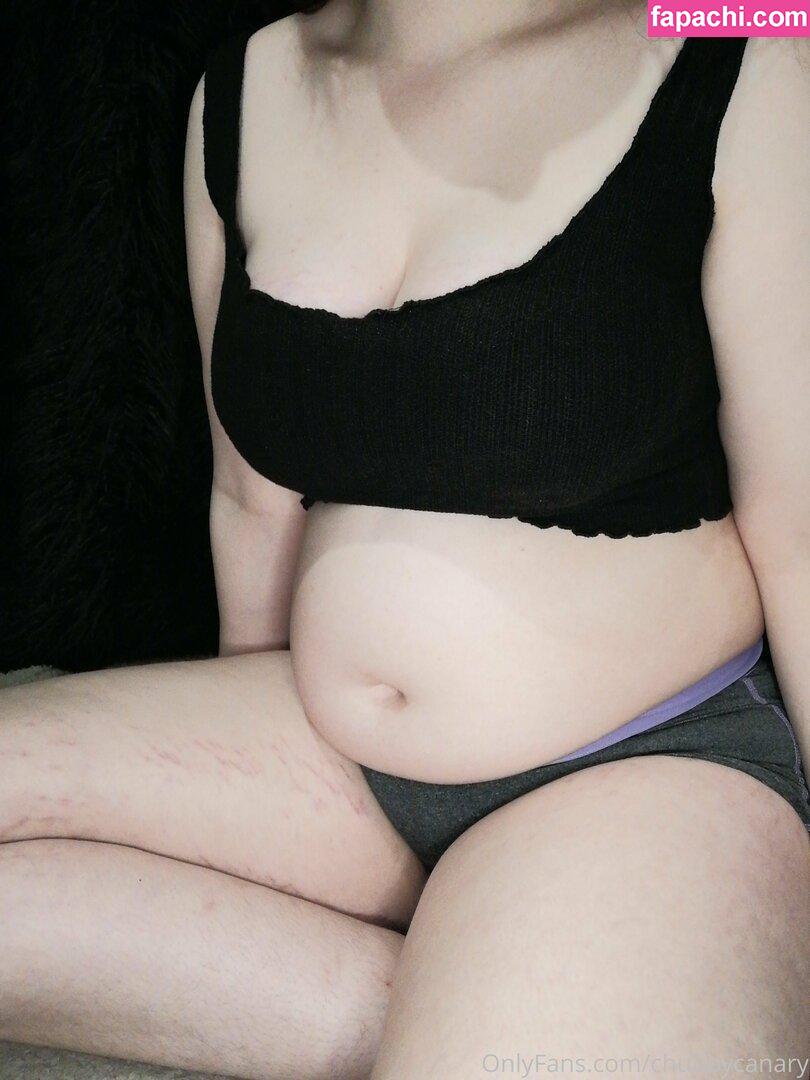 chubbycanary / chubby_canary leaked nude photo #0010 from OnlyFans/Patreon