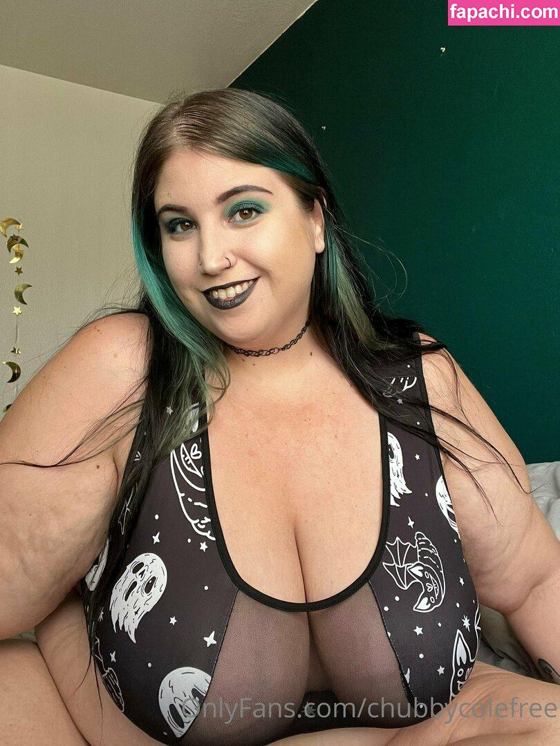 chubbycolefree / somefreesoul leaked nude photo #0016 from OnlyFans/Patreon