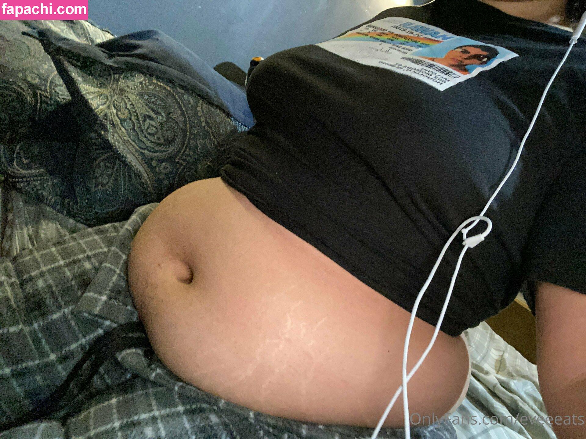 chubbyevilbrat leaked nude photo #0006 from OnlyFans/Patreon